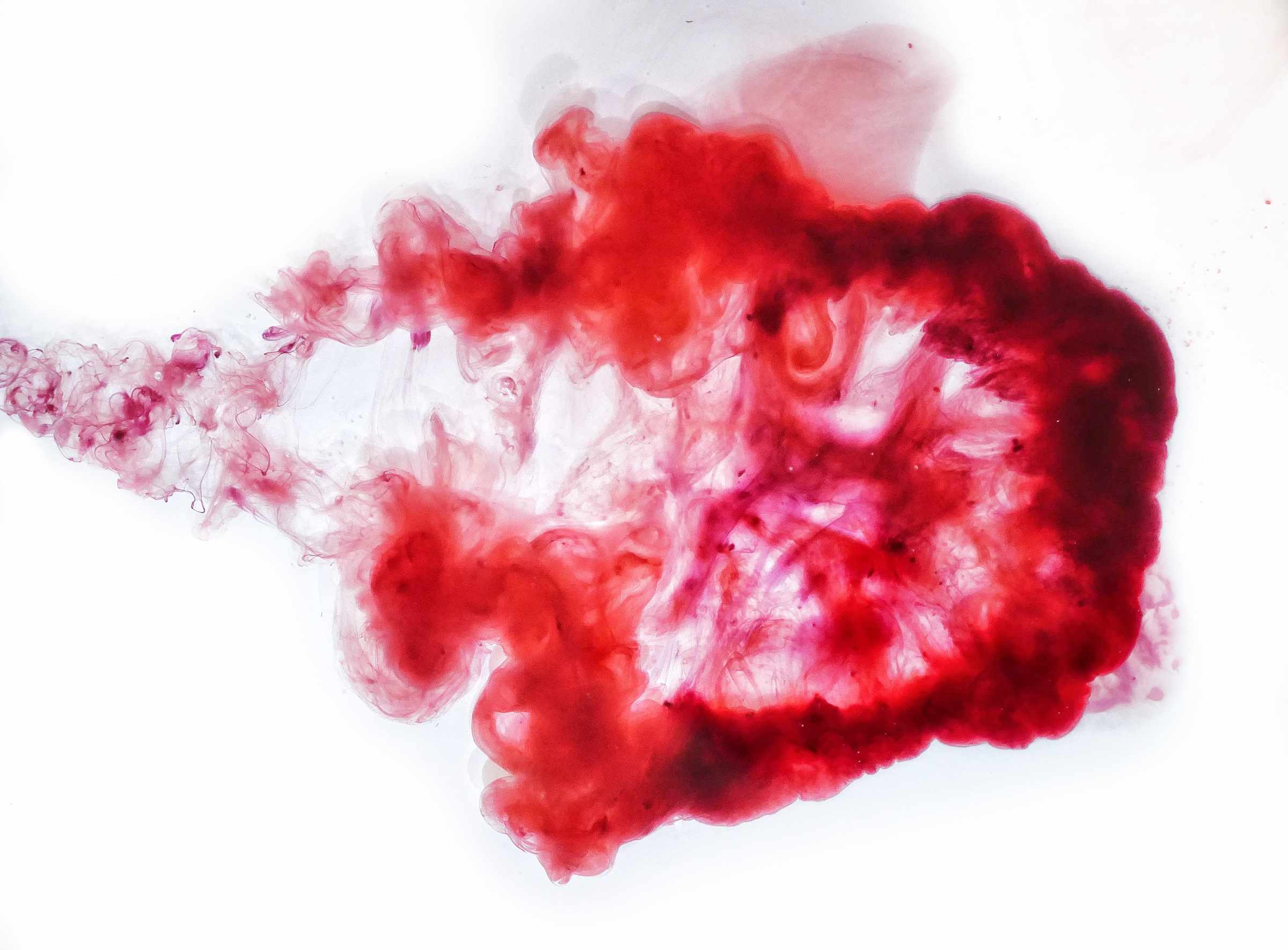 Menstrual blood art piece with organic flowing red forms
