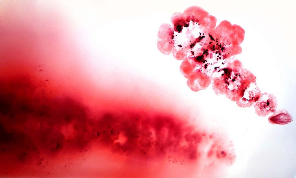 Wide-format menstrual blood artwork in shades of red