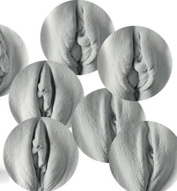 Spielerische Vulva-Karte aus dem Pussy Pairs Gedächtnisspiel