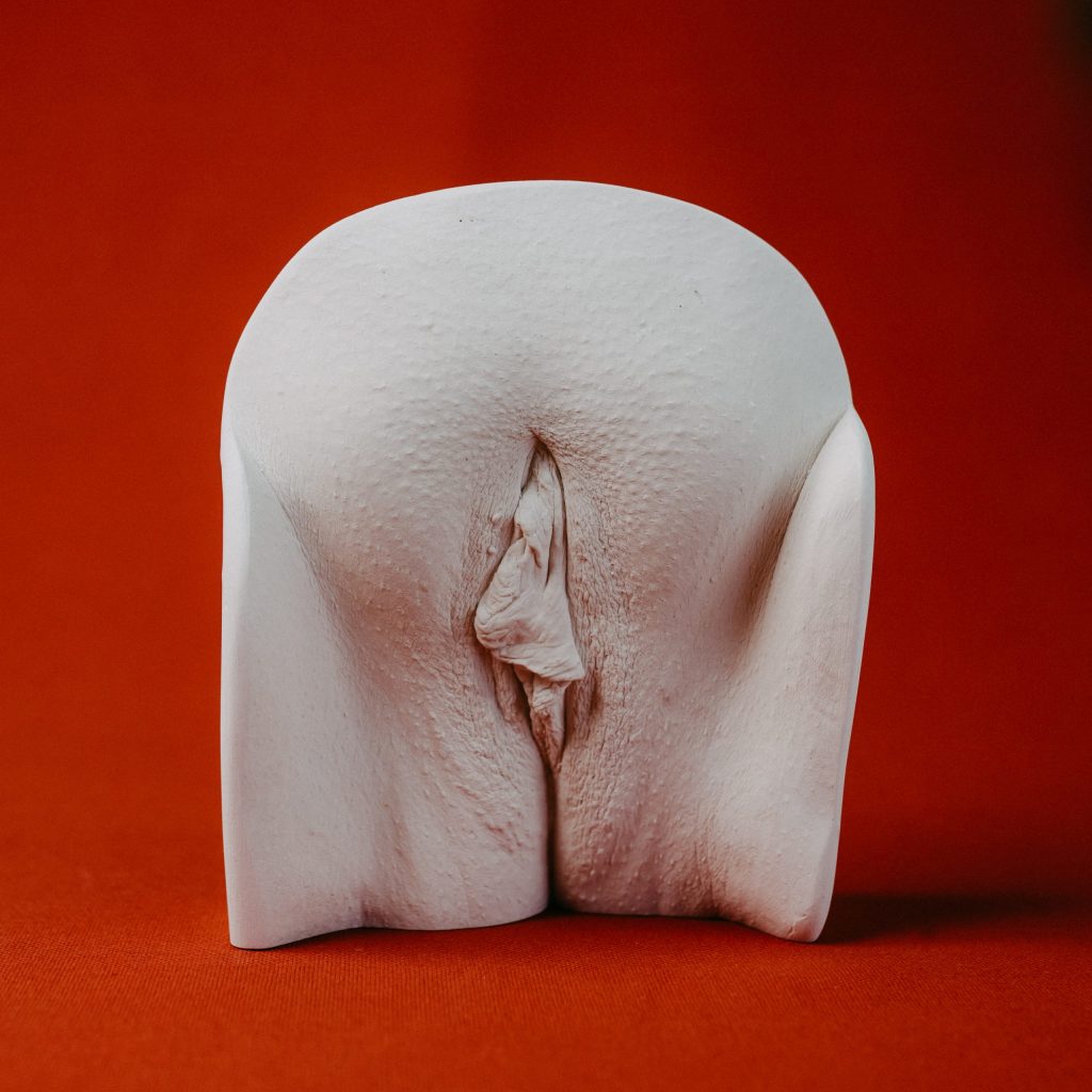 Side view of a polished vulva cast sculpture