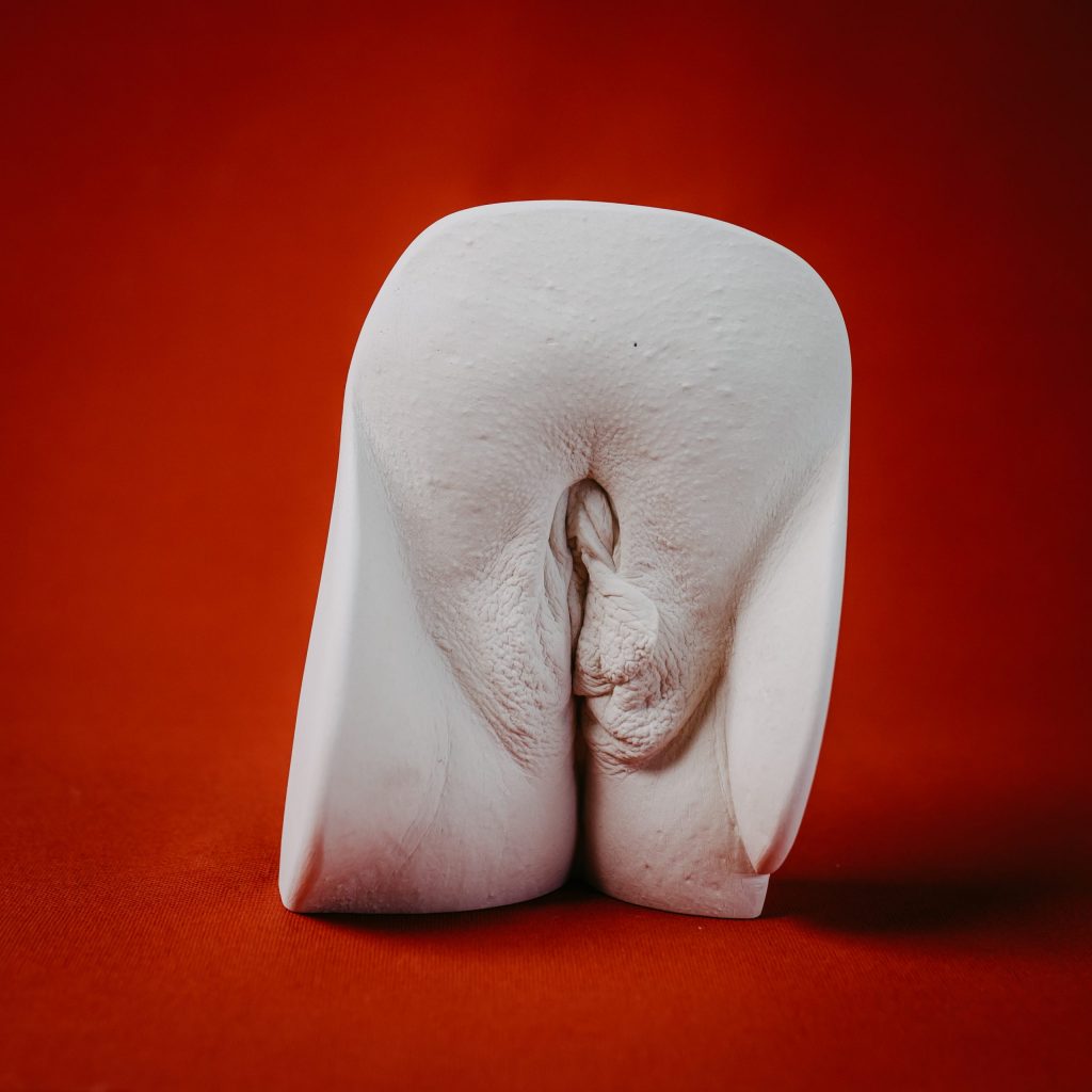 Three-dimensional vulva casting artwork shown in a studio corner