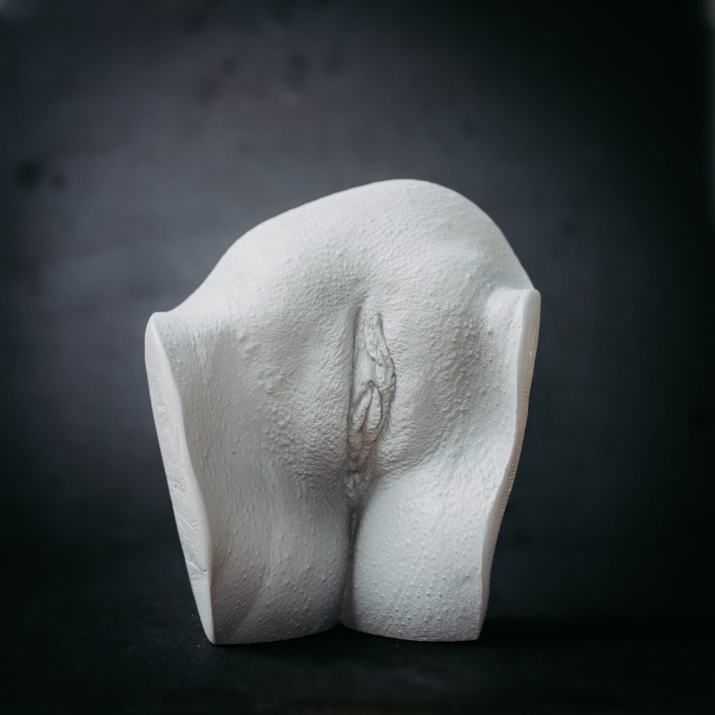 Detailed close-up of a vulva casting model