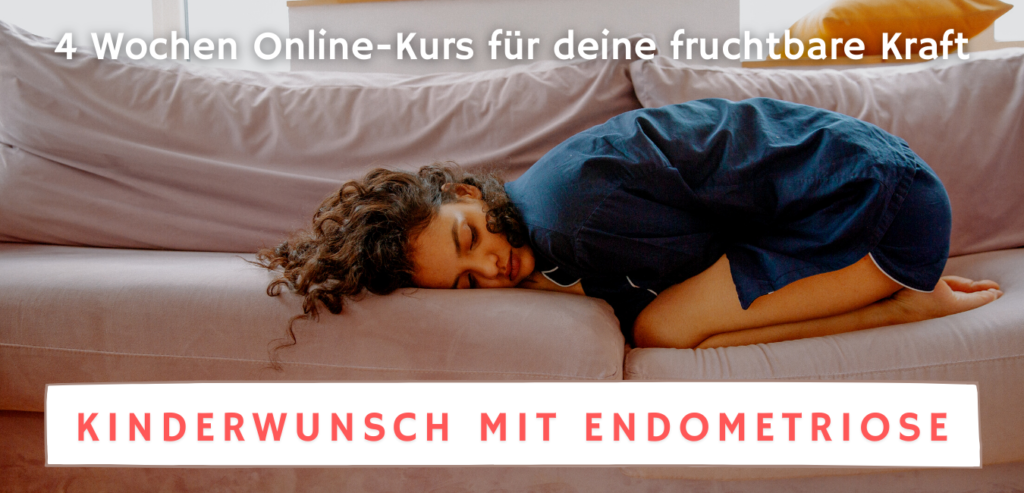 Infografik zu den vier Modulen des Kurses